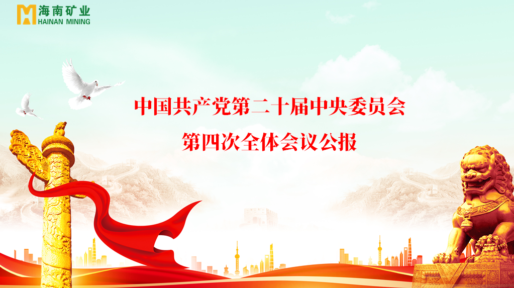 海南礦業(yè)黨委學習貫徹黨的二十屆四中全會精神